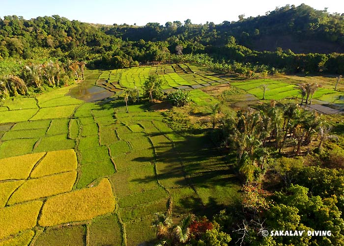 visit in Madagascar